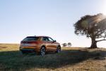 Audi Q8 55 TFSI Quattro S-Line 2018 года (AU)